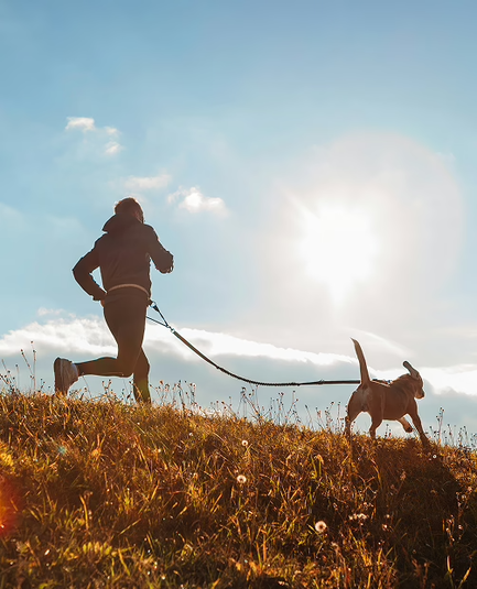 AdobeStock_361645644-1