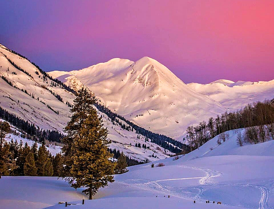 Feb 2026 Crested Butte Newsletter