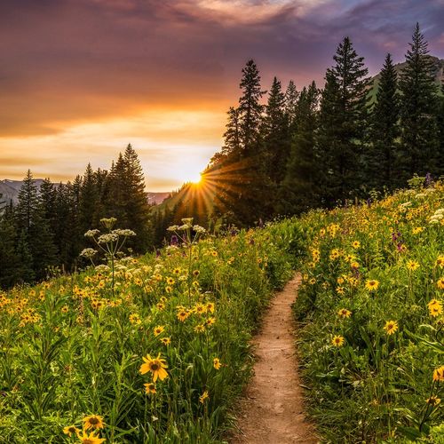 Is Crested Butte a Good Real Estate Investment in 2026? A Local Realtor’s Perspective