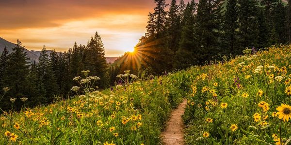 Is Crested Butte a Good Real Estate Investment &hellip;