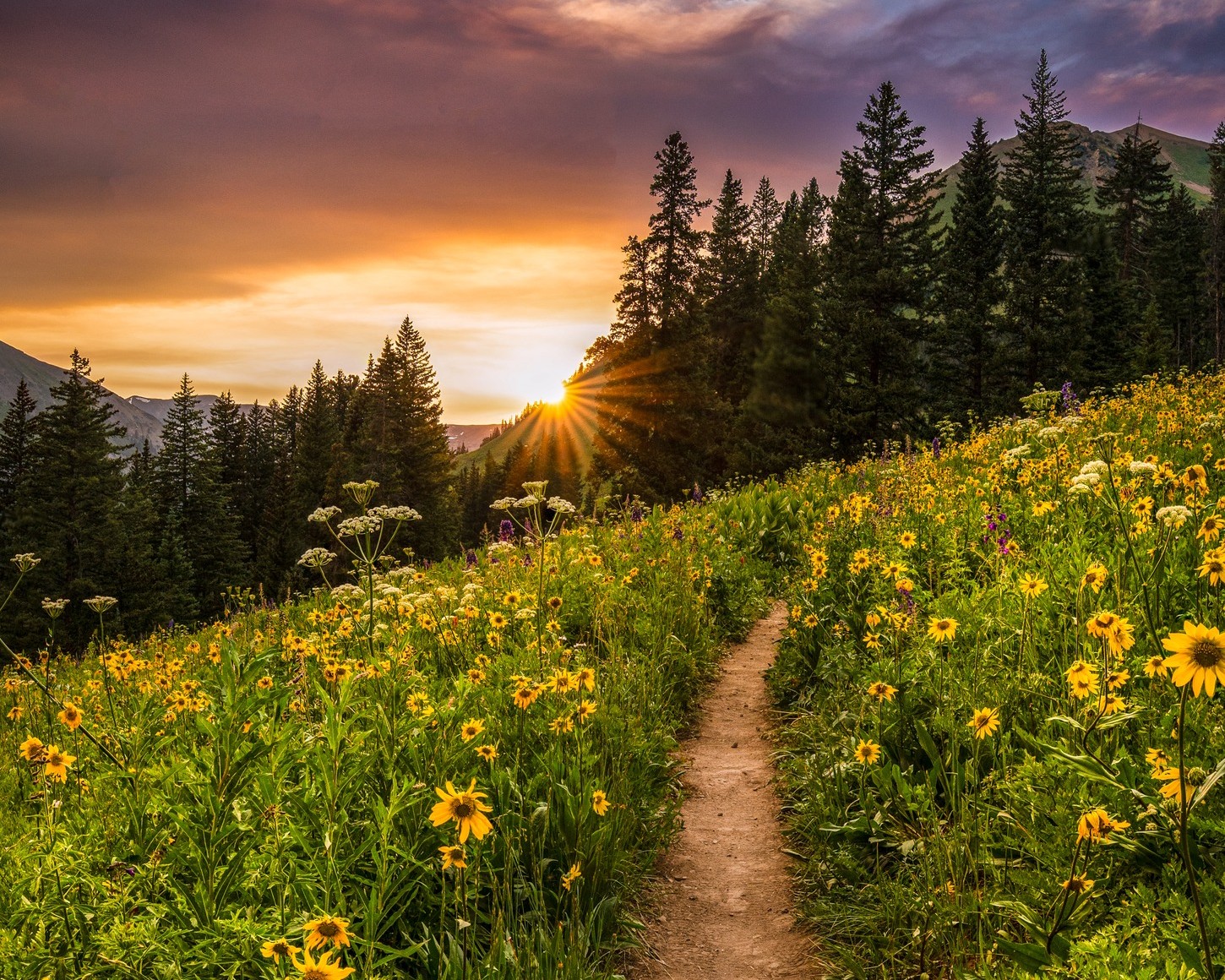 mid-month newsletter - May 2026