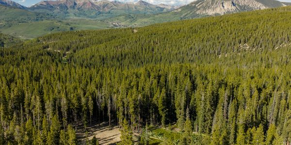 Just Listed | 5350 Wildcat Trail
