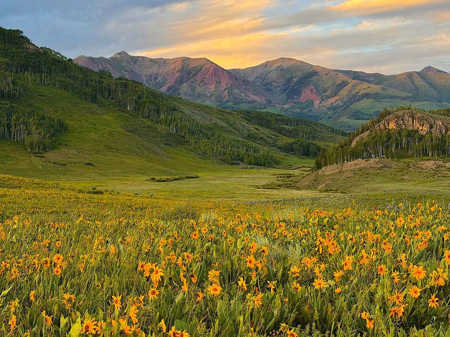 What Buyers Wish They Knew Before Buying in Crested Butte