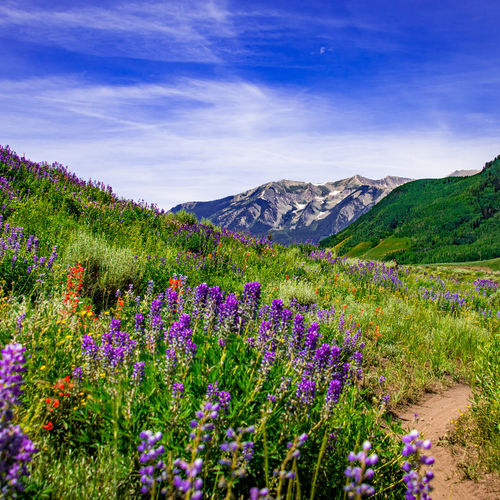 June 2026 in Crested Butte