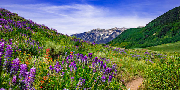 June 2026 in Crested Butte
