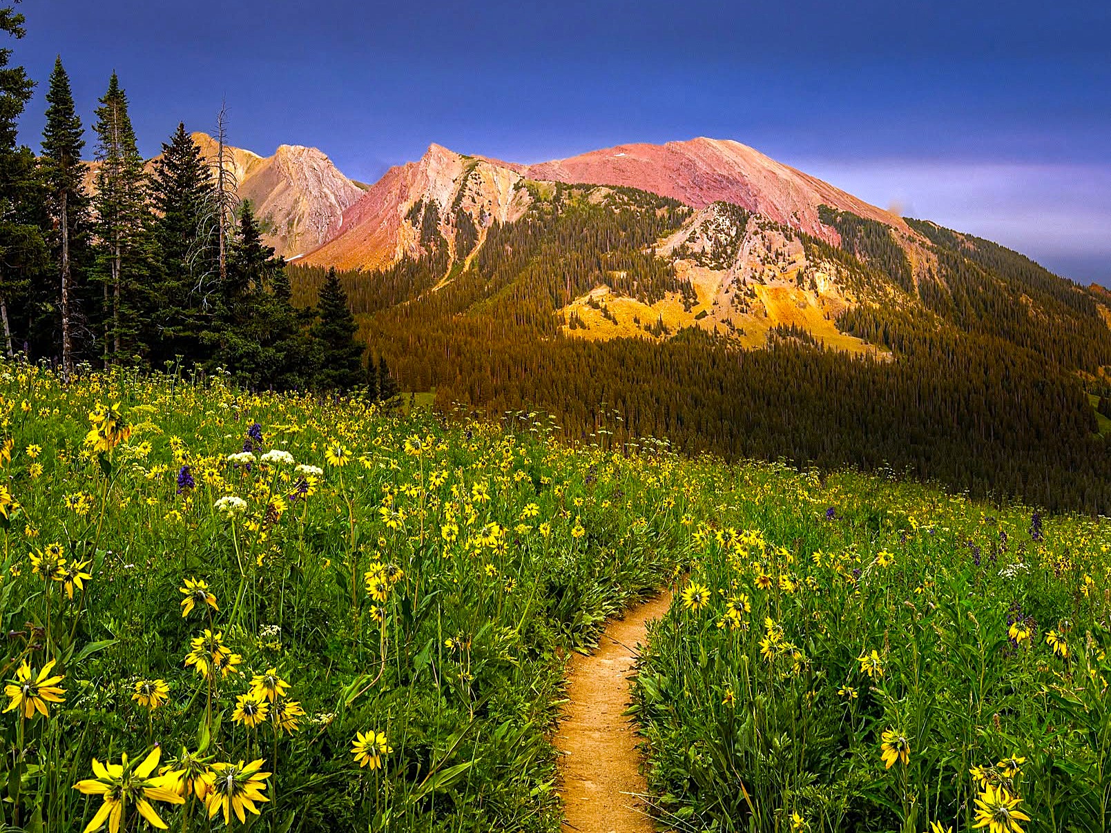 Crested Butte summer photo 2026