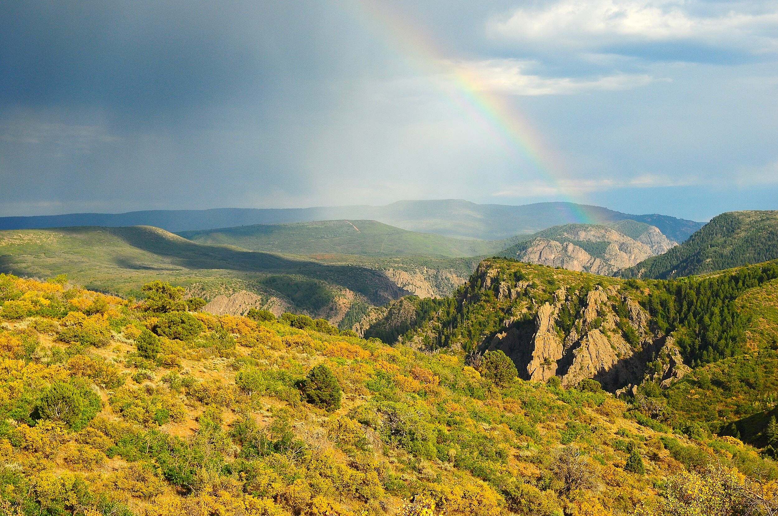 Gunnison 2nd quarter 2026 market report