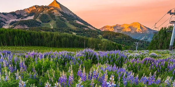 Crested Butte & Mt. Crested Butte Second Quarter &hellip;