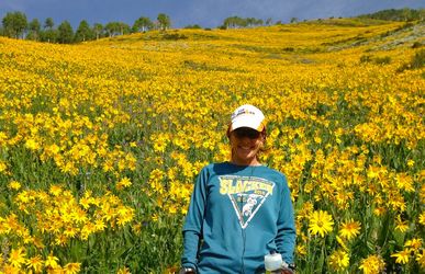 dawn wildflower in crested butte summer 2