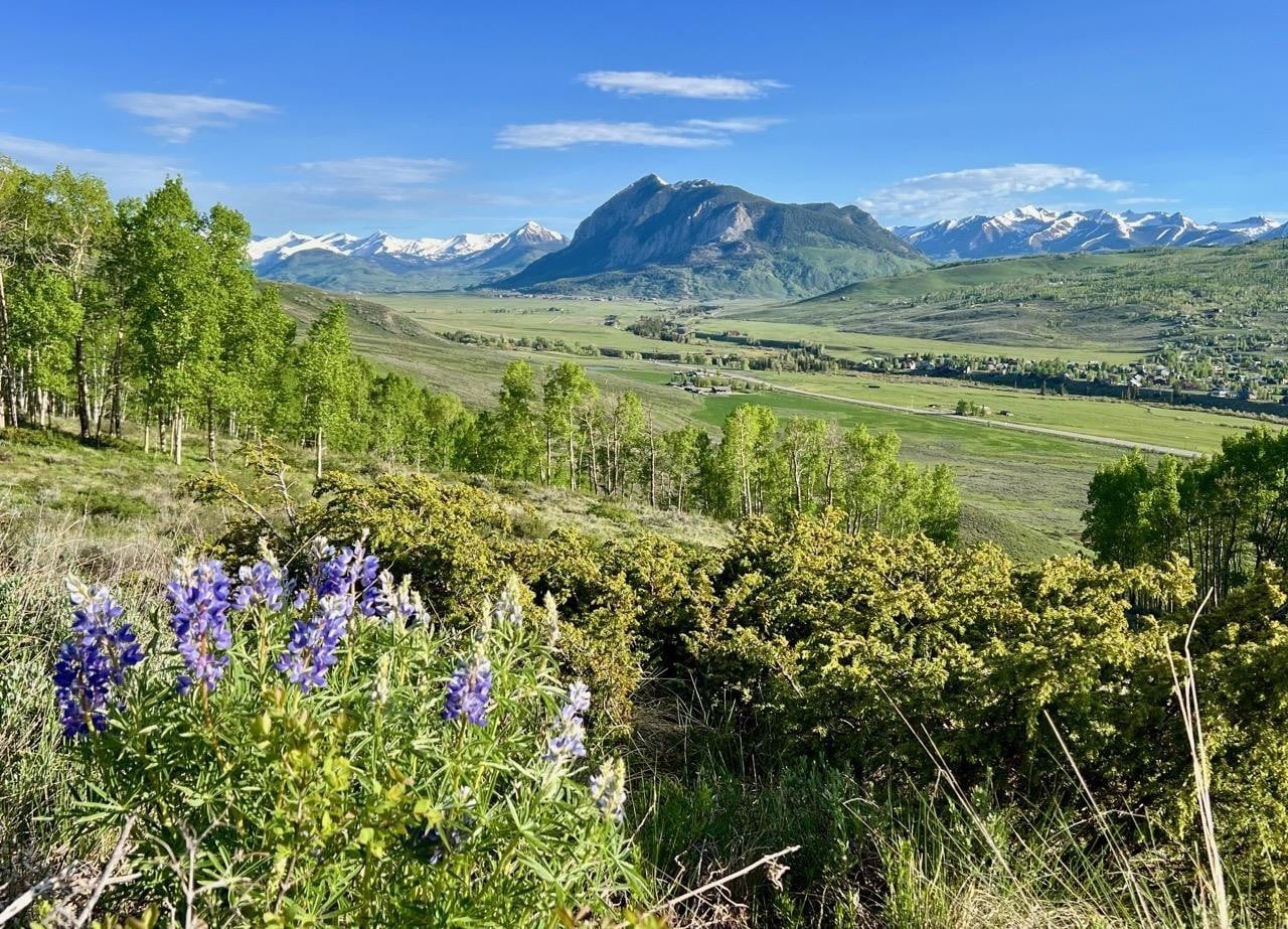 1190 Red Mountain Ranch