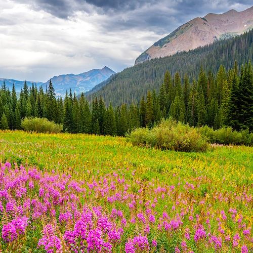 August 2026 in Crested Butte