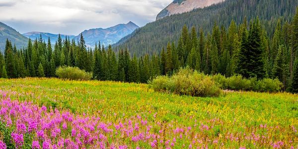 August 2026 in Crested Butte