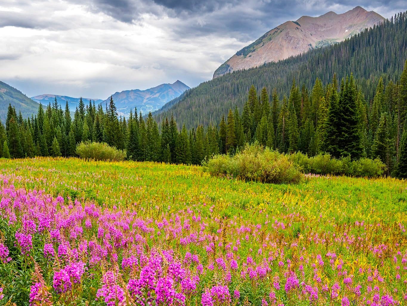 August 2026 in Crested Butte
