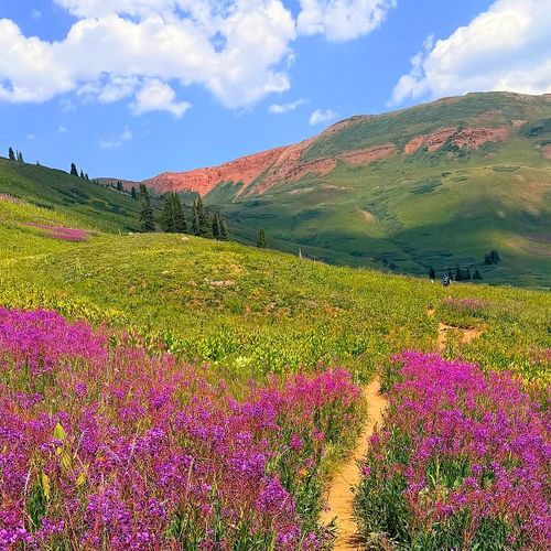 More Than a Mountain Home: What You're Really Buying in Crested Butte