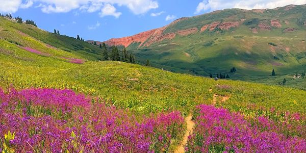 More Than a Mountain Home: What You're Really &hellip;