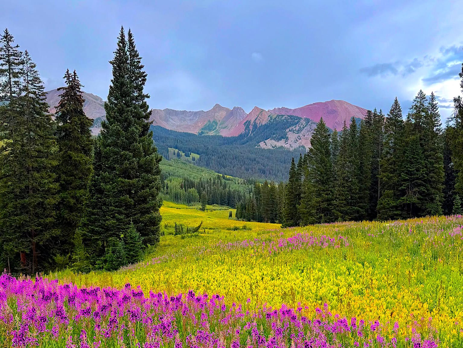 the howe group luxury crested butte august 2026