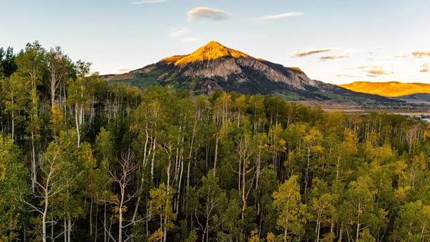 Fall in crested butte 2026 - 2