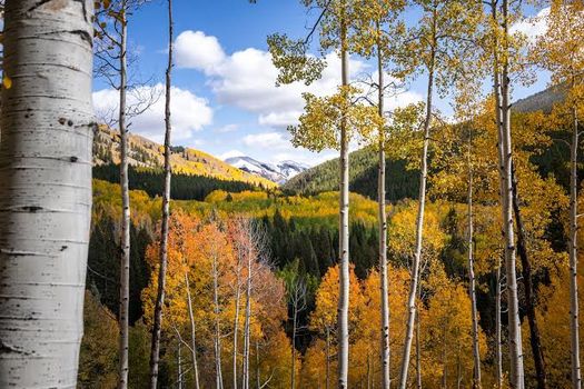 Fall in crested butte 2026 - 5