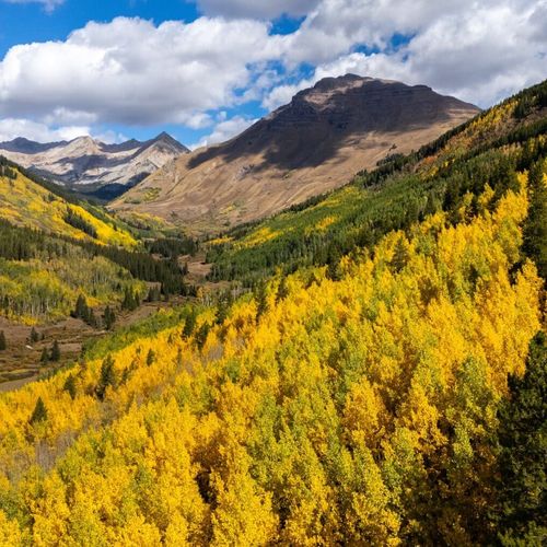 Fall in Crested Butte: Where to See the Colors