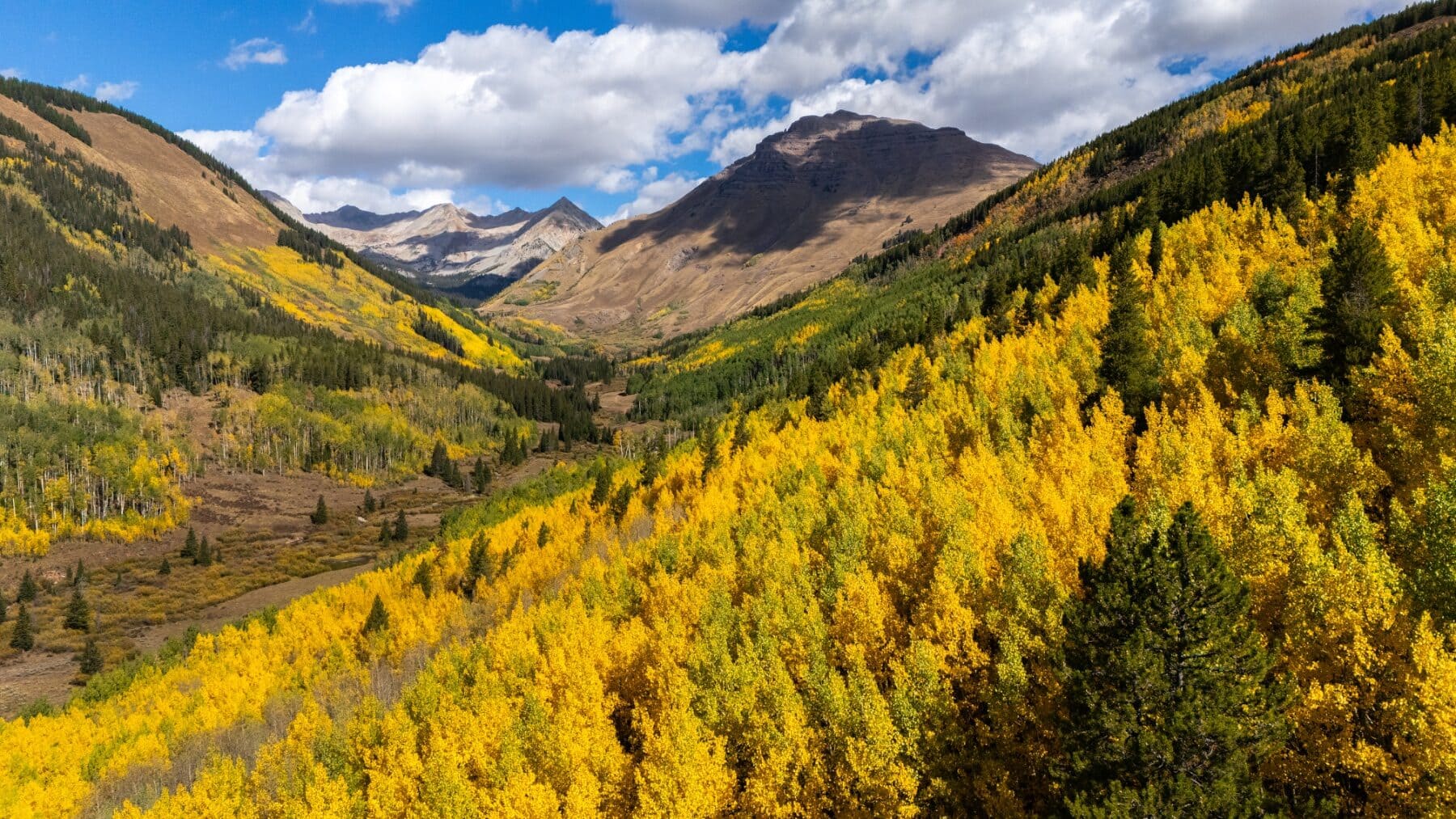 Fall in crested butte 2026