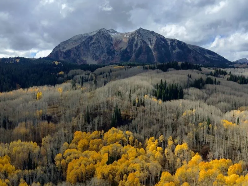 Kebler Pass 2026 Fall