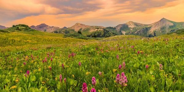 September 2026 in Crested Butte