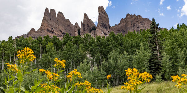 September 2026 in Gunnison