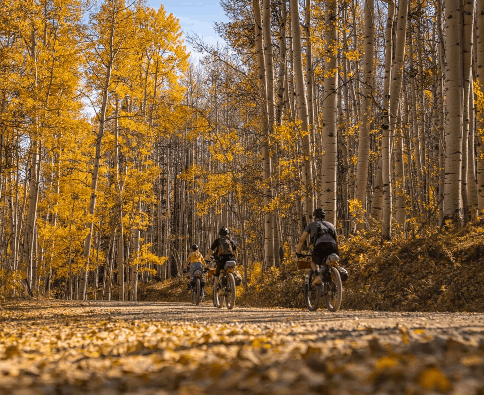 fall in crested butte biking (1) (1)