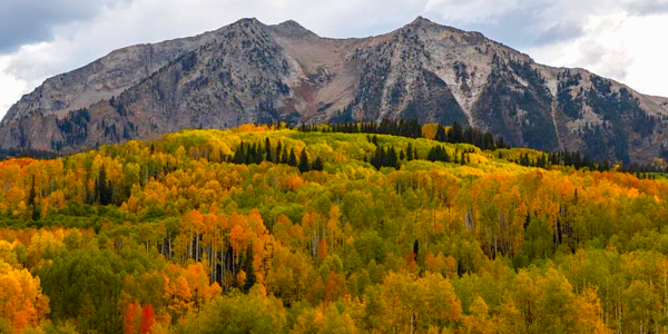 Crested Butte & Mt. Crested Butte Third Quarter &hellip;
