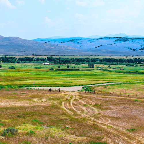SOLD | 623 Meadow View Trail