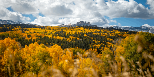 October 2026 in Gunnison