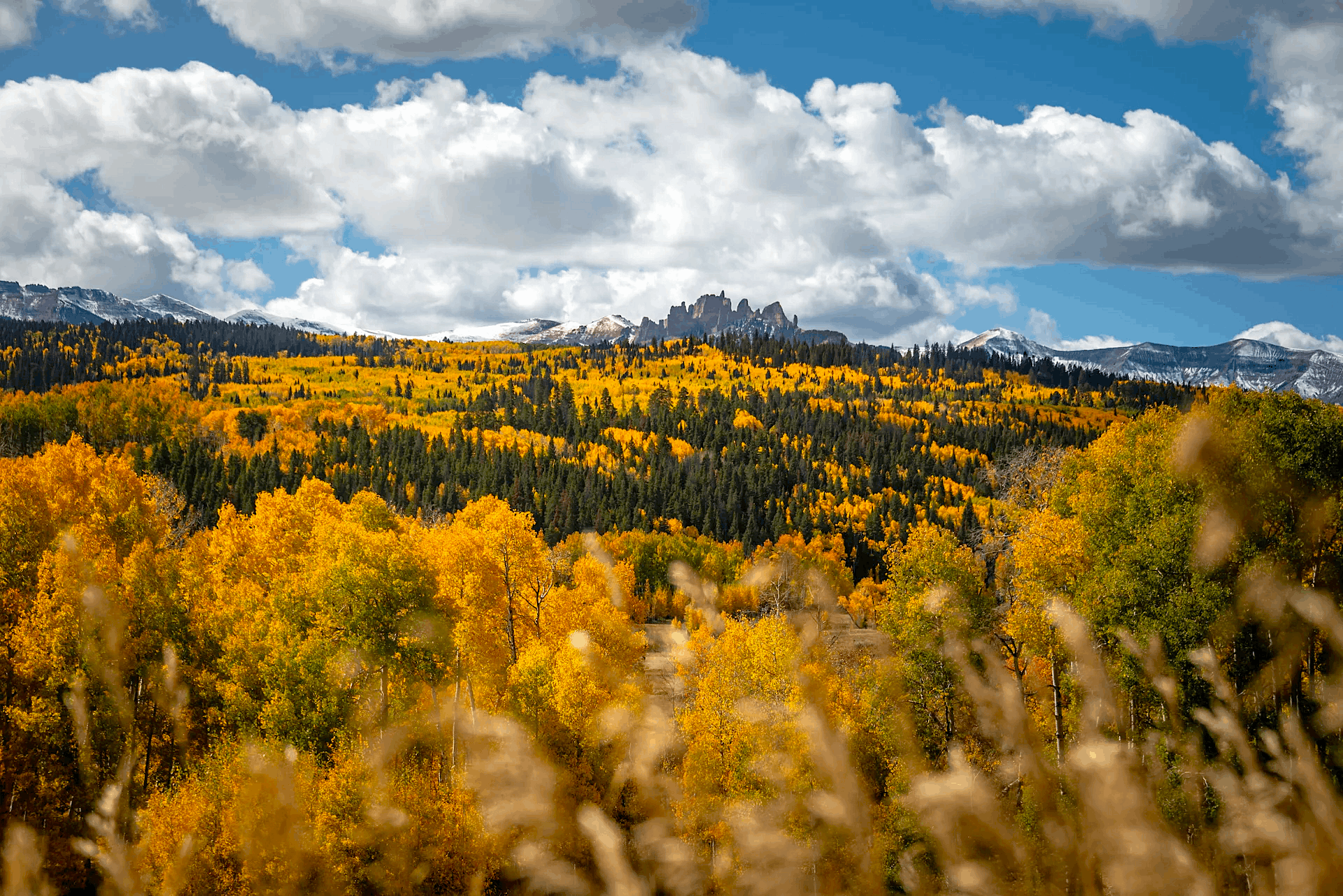 October in Gunnison 2026 (1)