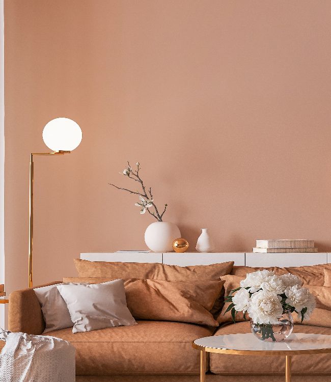 Elegant interior design(1)