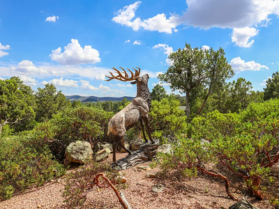 ca00d1cc289ed52f47a96f60d709d03f-cc_ft_768