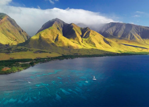 shutterstock_1280251762