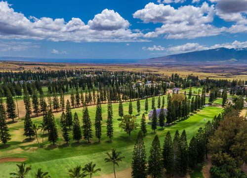 shutterstock_1982659487