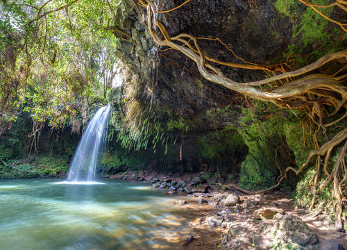 shutterstock_199347944