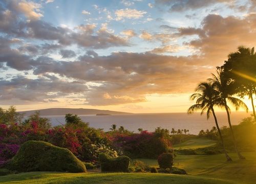 shutterstock_2513701751