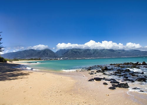 shutterstock_2526404755