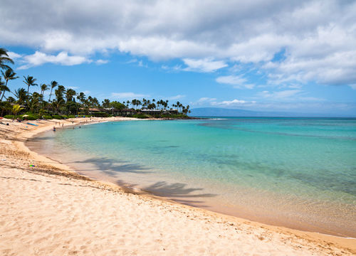 shutterstock_323592167