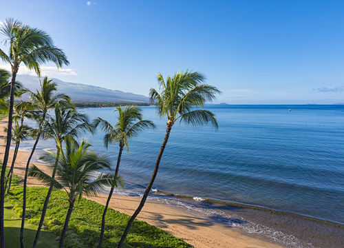 shutterstock_435071641