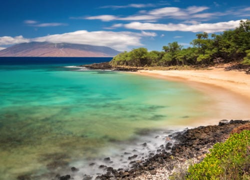 shutterstock_737229700