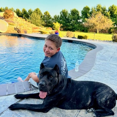 Dog-Friendly Patios in and Around Edwardsville, IL