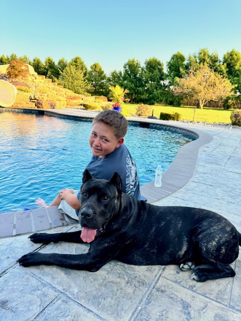 Realtor Tara Dog-friendly patios in Edwardsville, Illinois