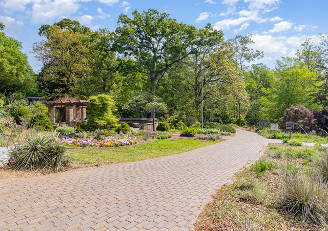 007_img_8241-edit_960