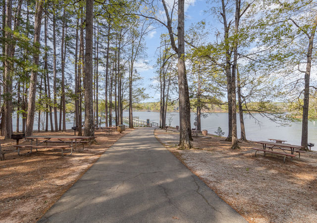 043_img_8228-edit_903