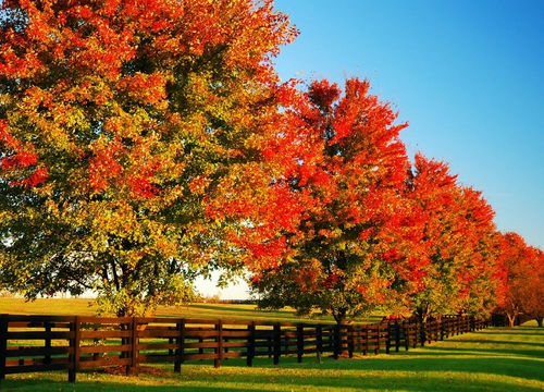 vTr81zvlCYvFvbn25SCXt