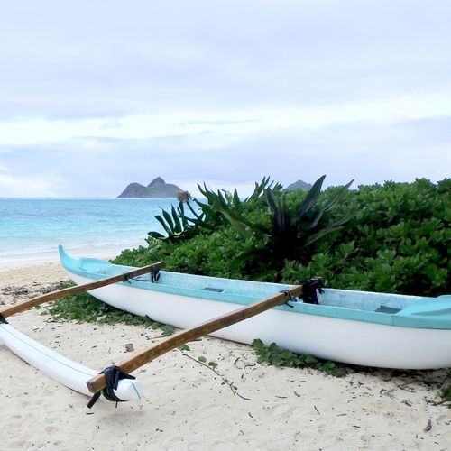 Kailua Neighborhood Breakdown | Real Estate + Lifestyle Guide