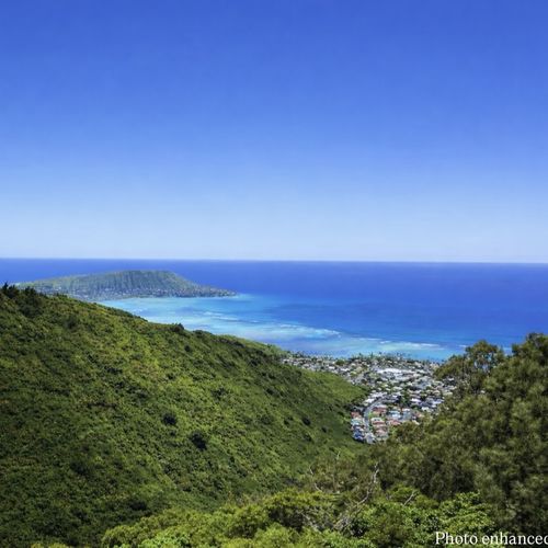 Market Forecast 2026: East Honolulu - Hawaii Kai, Waialae Iki, Aina Haina, & Hawaii Loa Ridge