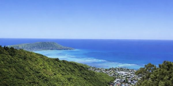 Market Forecast 2026: East Honolulu - Hawaii Kai, &hellip;